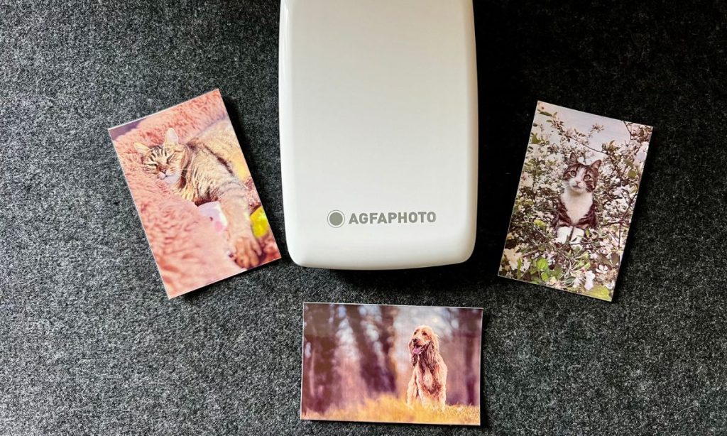 Imprimante Photo Portable Agfa filtres